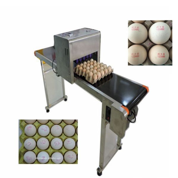 High Speed Food Inkjet Printer / Edible Printing Machine For Whole Disk Eggs