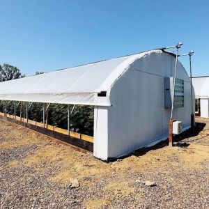 Nursery Custom 100% Blackout Light Deprivation Agricultural Mushroom Greenhouse