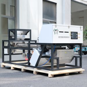 China Wenyao Heavy Duty Intelligent RGB CCD Camera Chili Pepper Garlic Color Sorter Machine on sale