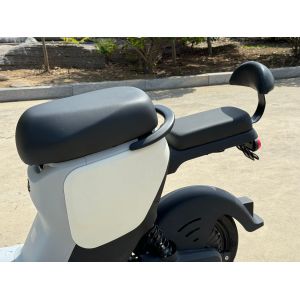 L1-D 350W Electric Two-Wheeler