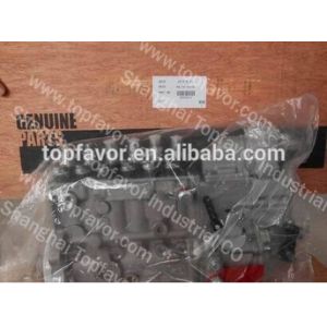 Replacement parts for Cummins engine part Fuel pump 4937514