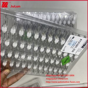 ASTM A121601-250A 125VDC EV Bolt FUSE Battery