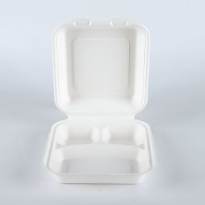 Disposable Food Packaging Pulp Sushi Biodegradable Tableware of Sugarcane