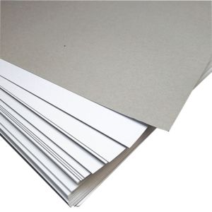 Factory Supplier White Cardboard In Roll Cardboard Sheet White 2mm Gray White
