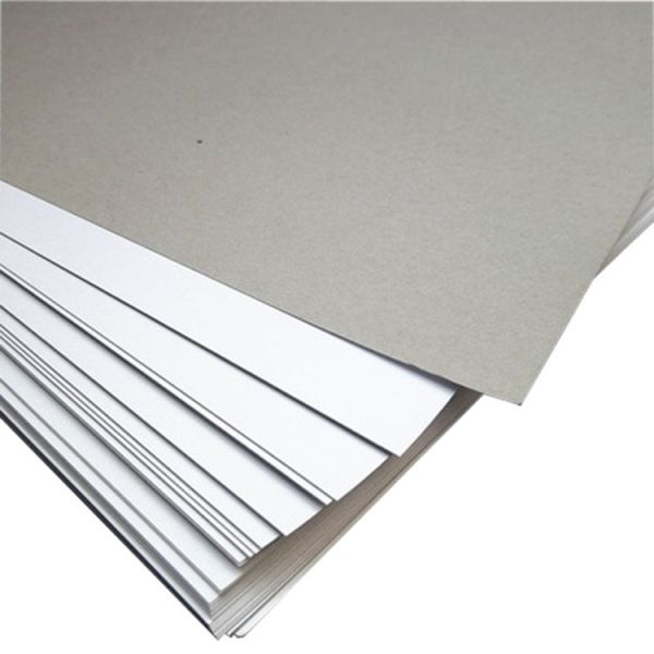 Factory Supplier White Cardboard In Roll Cardboard Sheet White 2mm Gray White