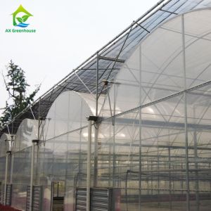 China Chinese Plastic Film Greenhouse For Large Area Farming Growing on sale
