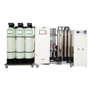 China 300L/H To 500L/H Medical Water Purification System Pressure Vessels 2stage RO + EDI on sale