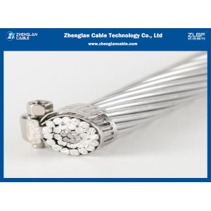 Bare Aluminum Conductor Transmission Line ACSR Duck Conductor 16~1250mm IEC61089