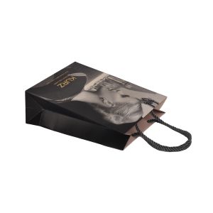 190gsm Artpaper Paper Carrier Bags With Twisted Handles Eco Friendly