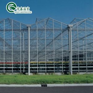 Vegetable Fruits Flowers Tomatoes Greenhouse with Inside and Outside Shading