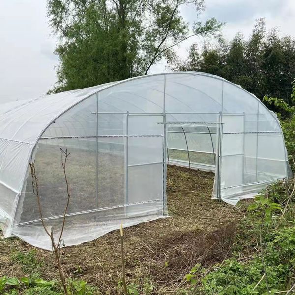 Agricultural Single Span Tunnel Strawberry PE Greenhouse Tunnel Plastic Greenhouse