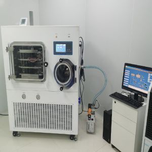 GMP Lab Freeze Dryer Lyophilizer Equipment Stainless Steel Rustproof