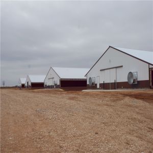 Weld Bolt Metal Chicken Coop Farm House Equipment CE Certificate