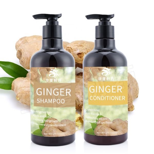 Buy Herbal Beauty Hair Shampoo Dandruff Hair Loss Hair Growth Ginger Shampoo at wholesale prices