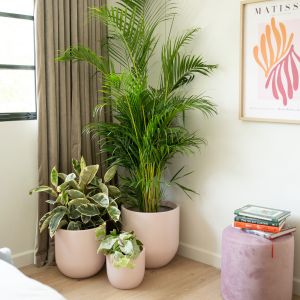 China Fiberglass Flower Pots Light Weight GRP Planter Box For Outdoor Indoor Decor on sale