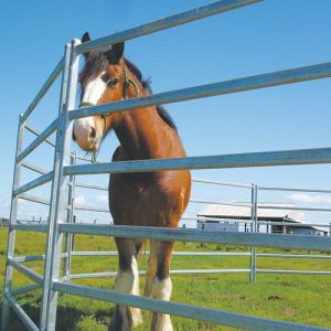 15m Diameter Horse Round Yard Panel 22Pcs incl. 3m tall Gate 30x60mm