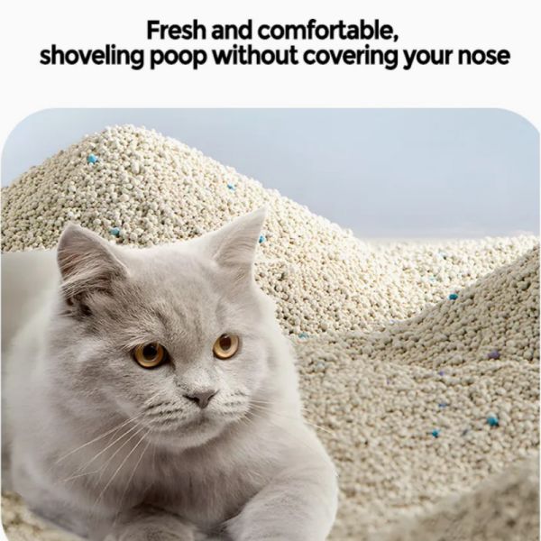 Sustainable Spherical Bentonite Cat Litter Grey 100% Natural Clay Kitty Litter