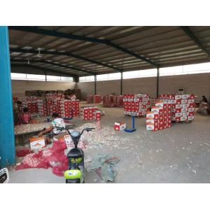 China 6.0-6.5 cm normal white garlic export to Brazil by Pioneer Garlic Group