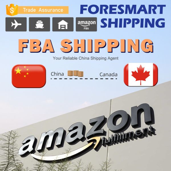 Buy Door To Door China To Canada Freight Forwarder Amazon FBA at wholesale prices