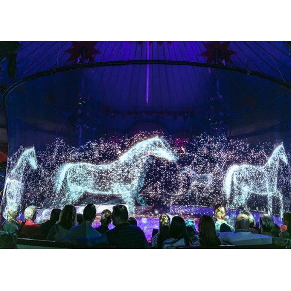 360 Degree 3D Holographic Effect Projection Screen Holographic Screen Projection