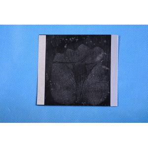 C177 Black Palm print hinge lifter