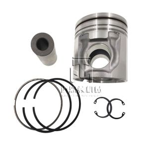 Piston Set 04253313 04501348 04253311 04501349 04207594 04207775 04253314