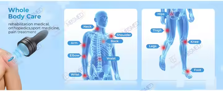 Professional FSWT Focused Shockwave Therapy Device Vet Luggage Focused Shock