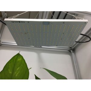 210lm/W 360nm Quantum Board Led Grow Light