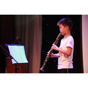 constansa instrumentProfessional Performance Level Ebony Wood Silver Plated 18