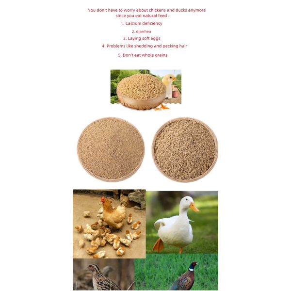 45KW Ring Die Feed Pellet Machine Sheep Cattle Feed Pellet Machine