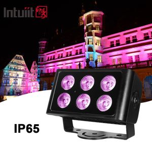 6x5W RGB RGBW Outdoor LED Wall Washer Light IP65 Flood Blinder Strobe