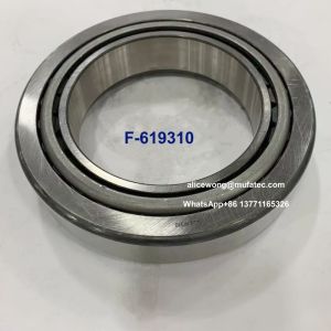 China F-619310 Automotive Spare Part Bearings Tapered Roller Differential Bearings on sale