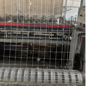 Easily Assembled Eco Friendly Pressure Treated Timbers Renewable Sources Rodent