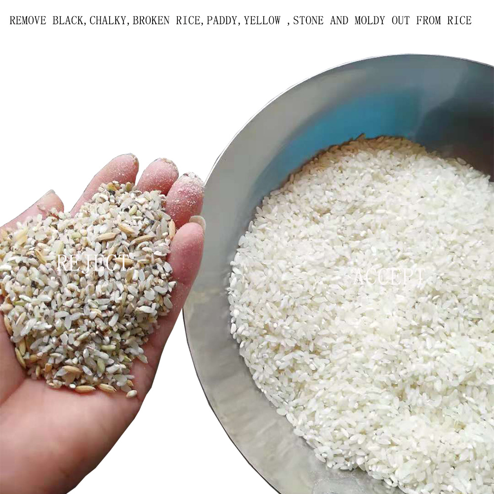 Small Rice Color Sorter Rice Sorting Machine For Rice Mill