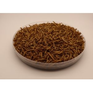 Factory Wholesale Supply Export Grade High Quality Dried Mealworm Dried Tenebrio