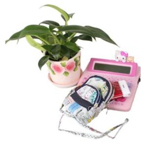 Lady Mobile Phone Belt Pouch / Cell Phone Holders odm-r3