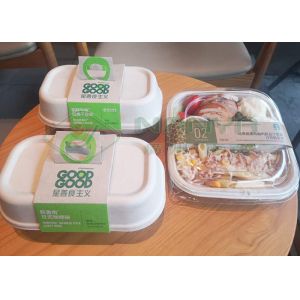 Easy Operating Wood Fiber Paper Plate Manufacturing Machine Semi Automatic