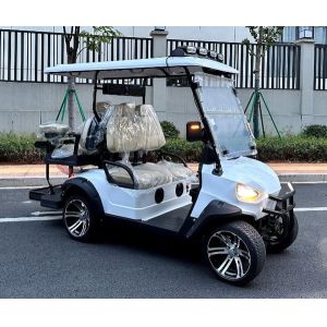 High Degree Electric Golf Cart E 3 Wheel 4 Wheel Drive Lifted Street Legal Club