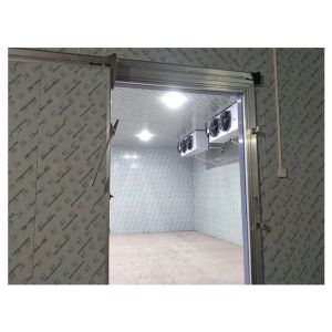 Commercial Customized Fruit/Vegetable/Fresh Meat Multifunctional Storage