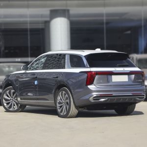 Super luxury electric SUV Hongqi E-HS9 2021 2022 white and black de-stocking and