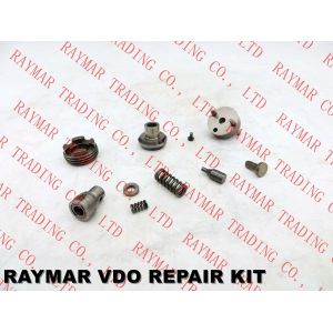 SIEMENS VDO Fuel injector overhaul kit