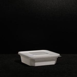 Customized Bpa Free Fast Food Box With PP Material Printing