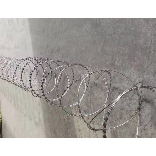 Snake Belly Razor Barbed Wire 500mm 10M Security Razor Wire Fencing