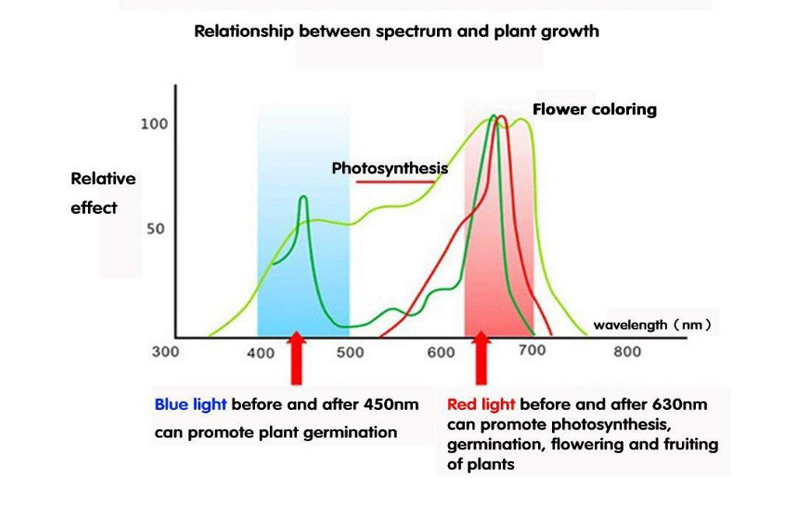 36W 5V Outdoor LED Spotlights With Flexible Gooseneck Arms USB Dimmer