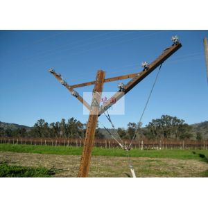 Non - Overlapping Open Gable Trellis System Excellent Ventilation And Air