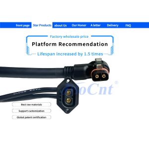 AC100A Electric Vehicle Yacht Ship Charging Lithium Battery Replacement