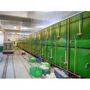 Quality Efficient Masonry Tunnel Kiln High Automation For Dry And Burn Bricks for sale