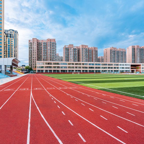 Synthetic Eco Sports Flooring Track Rubber Playground Surfacing Products