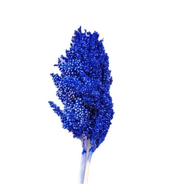 Factory Price Dry Flower Preserved Broomcorn Dry Sorghum For Decoration