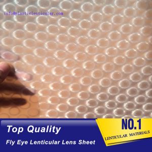 PLASTIC LENTICULAR 3d effect 360 degrees lenticular sheet arrays fly eye lenses